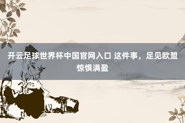 开云足球世界杯中国官网入口 这件事，足见欧盟惊惧满盈