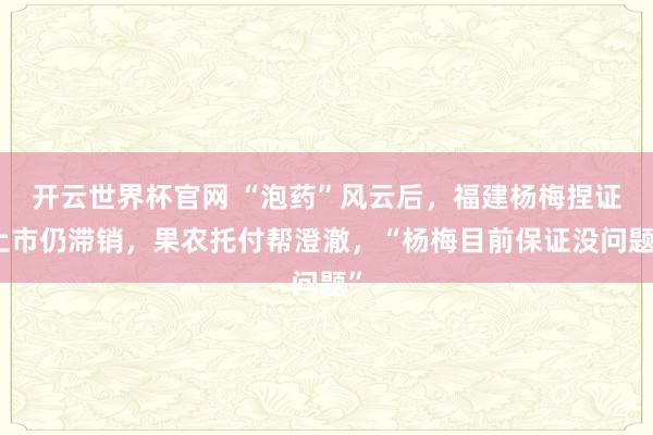 开云世界杯官网 “泡药”风云后，福建杨梅捏证上市仍滞销，果农托付帮澄澈，“杨梅目前保证没问题”