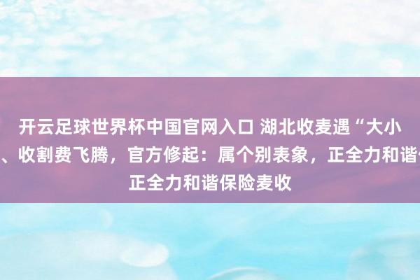 开云足球世界杯中国官网入口 湖北收麦遇“大小亩”争议、收割费飞腾，官方修起：属个别表象，正全力和谐保险麦收