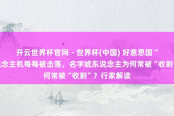 开云世界杯官网 - 世界杯(中国) 好意思国“死神”无东说念主机每每被击落，名字唬东说念主为何常被“收割”？行家解读