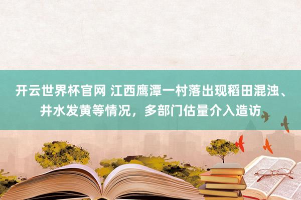 开云世界杯官网 江西鹰潭一村落出现稻田混浊、井水发黄等情况，多部门估量介入造访
