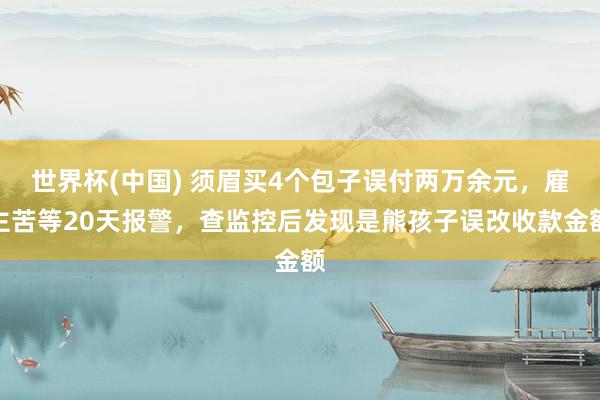 世界杯(中国) 须眉买4个包子误付两万余元，雇主苦等20天报警，查监控后发现是熊孩子误改收款金额