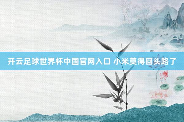 开云足球世界杯中国官网入口 小米莫得回头路了