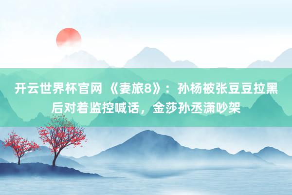 开云世界杯官网 《妻旅8》：孙杨被张豆豆拉黑后对着监控喊话，金莎孙丞潇吵架