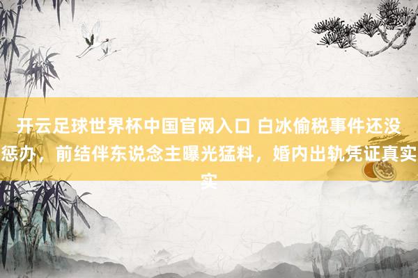 开云足球世界杯中国官网入口 白冰偷税事件还没惩办，前结伴东说念主曝光猛料，婚内出轨凭证真实