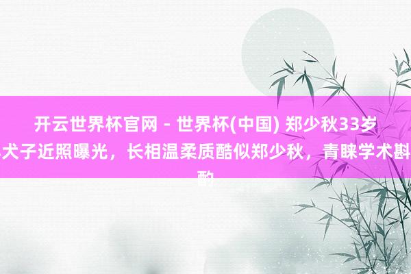 开云世界杯官网 - 世界杯(中国) 郑少秋33岁小犬子近照曝光，长相温柔质酷似郑少秋，青睐学术斟酌