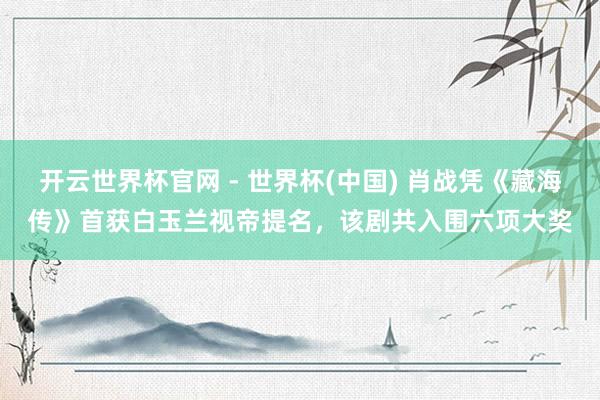 开云世界杯官网 - 世界杯(中国) 肖战凭《藏海传》首获白玉兰视帝提名，该剧共入围六项大奖
