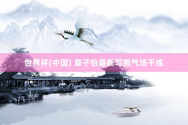世界杯(中国) 章子怡最新写照气场干练