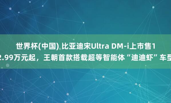 世界杯(中国) 比亚迪宋Ultra DM-i上市售12.99万元起，王朝首款搭载超等智能体“迪迪虾”车型