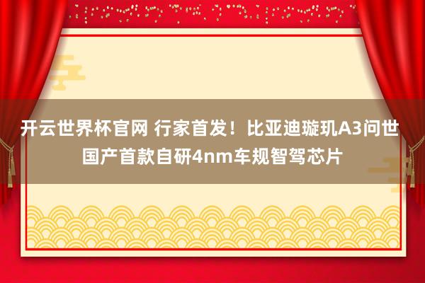 开云世界杯官网 行家首发！比亚迪璇玑A3问世 国产首款自研4nm车规智驾芯片