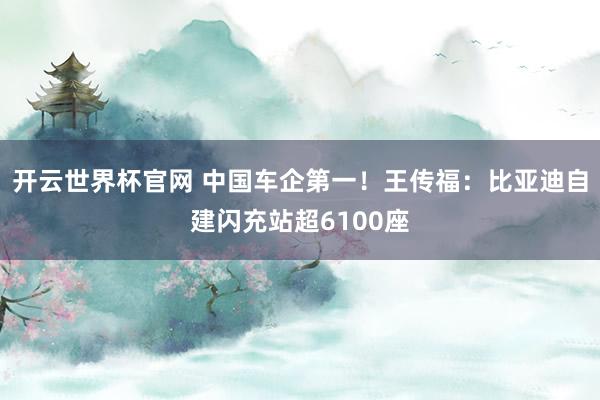 开云世界杯官网 中国车企第一！王传福：比亚迪自建闪充站超6100座