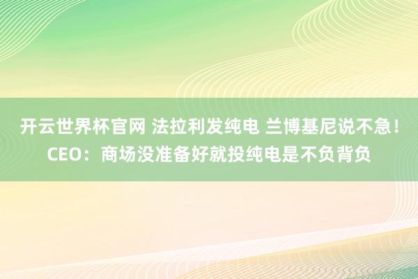 开云世界杯官网 法拉利发纯电 兰博基尼说不急！CEO：商场没准备好就投纯电是不负背负