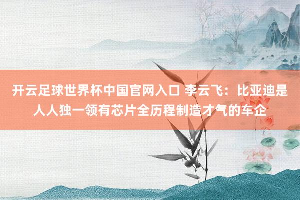 开云足球世界杯中国官网入口 李云飞：比亚迪是人人独一领有芯片全历程制造才气的车企