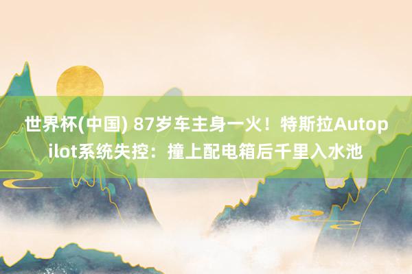 世界杯(中国) 87岁车主身一火！特斯拉Autopilot系统失控：撞上配电箱后千里入水池