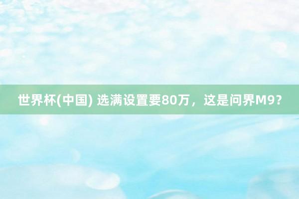 世界杯(中国) 选满设置要80万，这是问界M9？