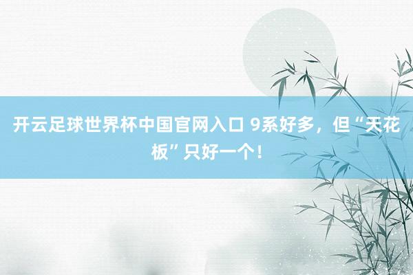 开云足球世界杯中国官网入口 9系好多，但“天花板”只好一个！
