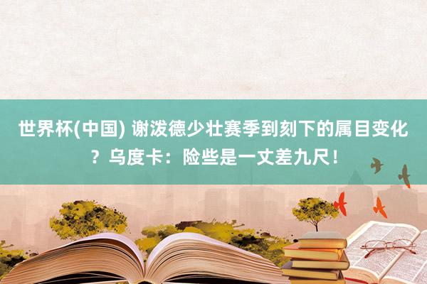 世界杯(中国) 谢泼德少壮赛季到刻下的属目变化？乌度卡：险些是一丈差九尺！