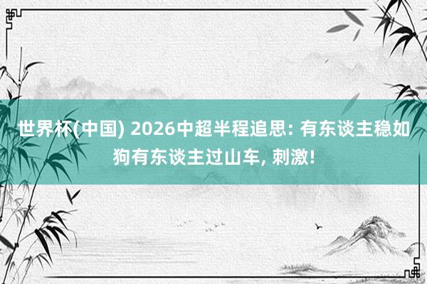 世界杯(中国) 2026中超半程追思: 有东谈主稳如狗有东谈主过山车, 刺激!