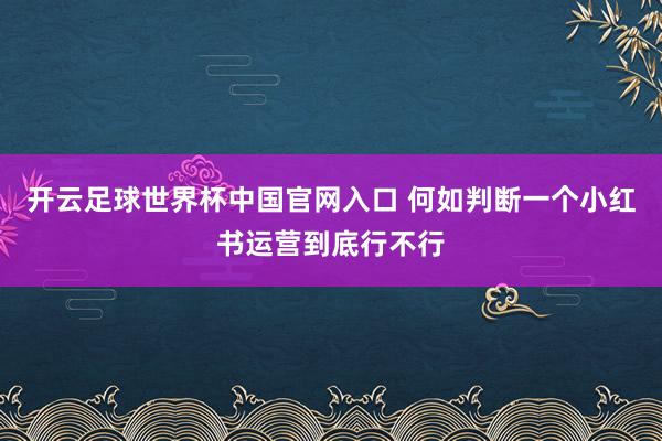 开云足球世界杯中国官网入口 何如判断一个小红书运营到底行不行