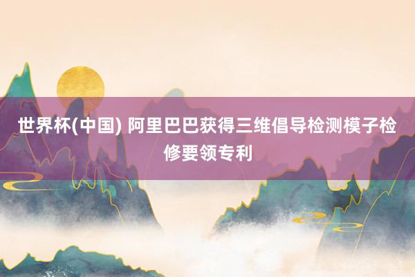 世界杯(中国) 阿里巴巴获得三维倡导检测模子检修要领专利