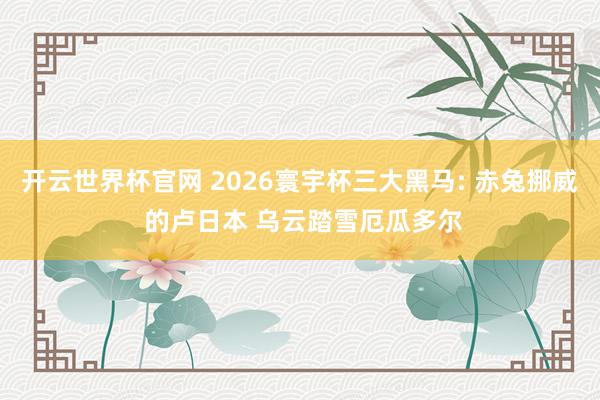 开云世界杯官网 2026寰宇杯三大黑马: 赤兔挪威 的卢日本 乌云踏雪厄瓜多尔