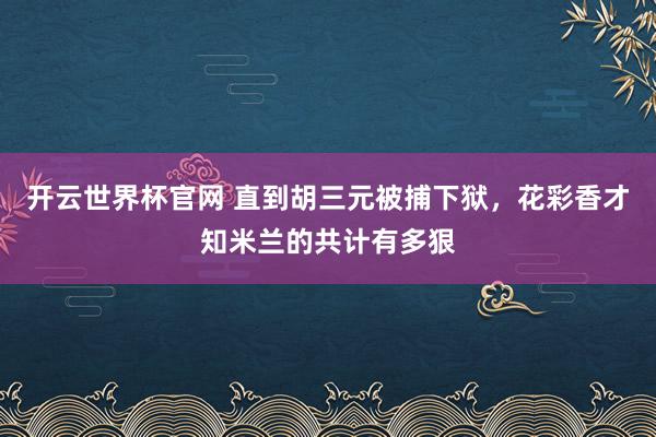 开云世界杯官网 直到胡三元被捕下狱，花彩香才知米兰的共计有多狠