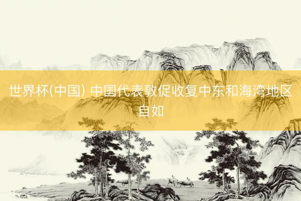 世界杯(中国) 中国代表敦促收复中东和海湾地区自如