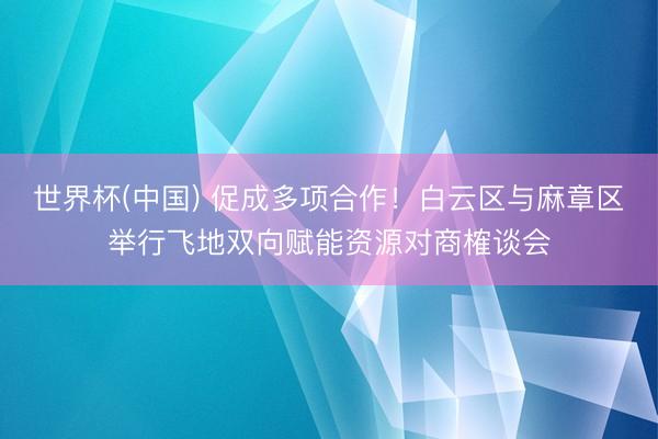 世界杯(中国) 促成多项合作！白云区与麻章区举行飞地双向赋能资源对商榷谈会