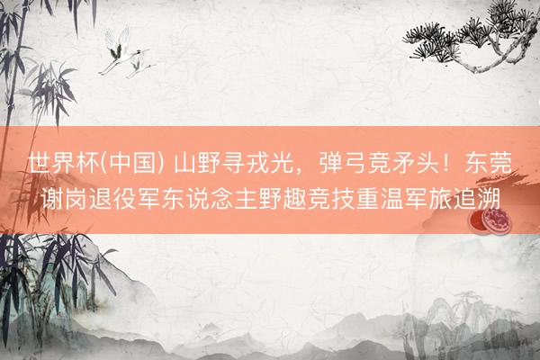 世界杯(中国) 山野寻戎光,弹弓竞矛头!东莞谢岗退役军东说念主野趣竞技重温军旅追溯
