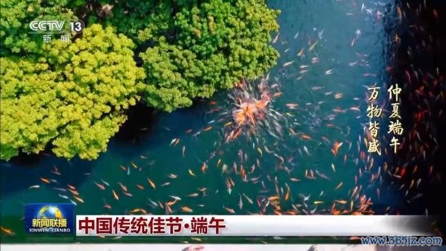 仲夏端午万物都盛 文化长河流淌不停